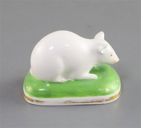 A Derby porcelain figure of a recumbent white mouse, c.1825-35, L. 6.5cm